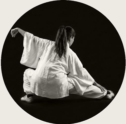 Taolu Style Yang